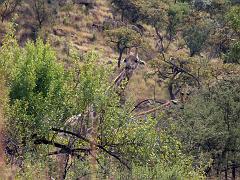 090516_Pilanesberg 114
